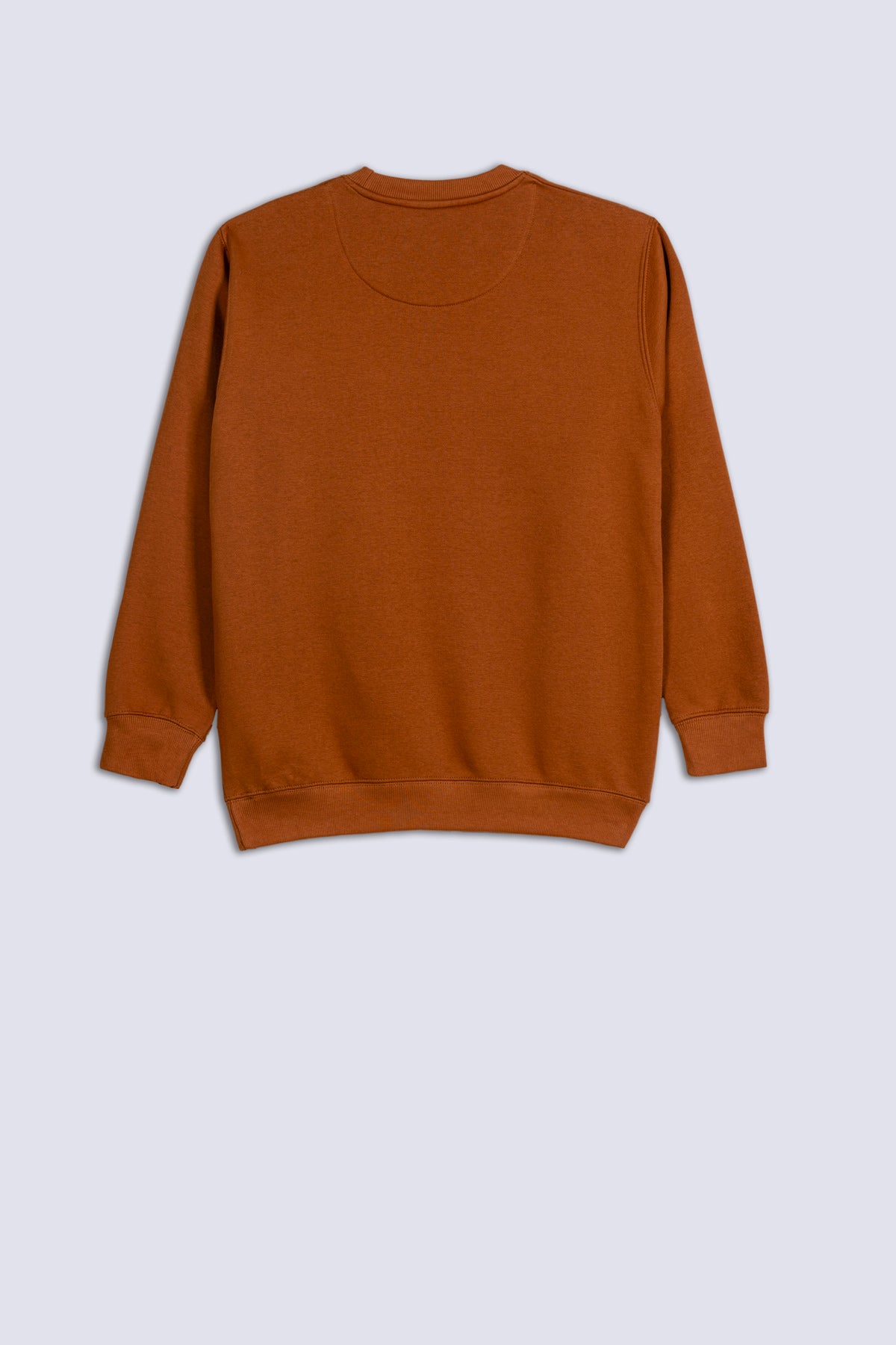 Camel Fleece Men&#39;s Sweatshirt.