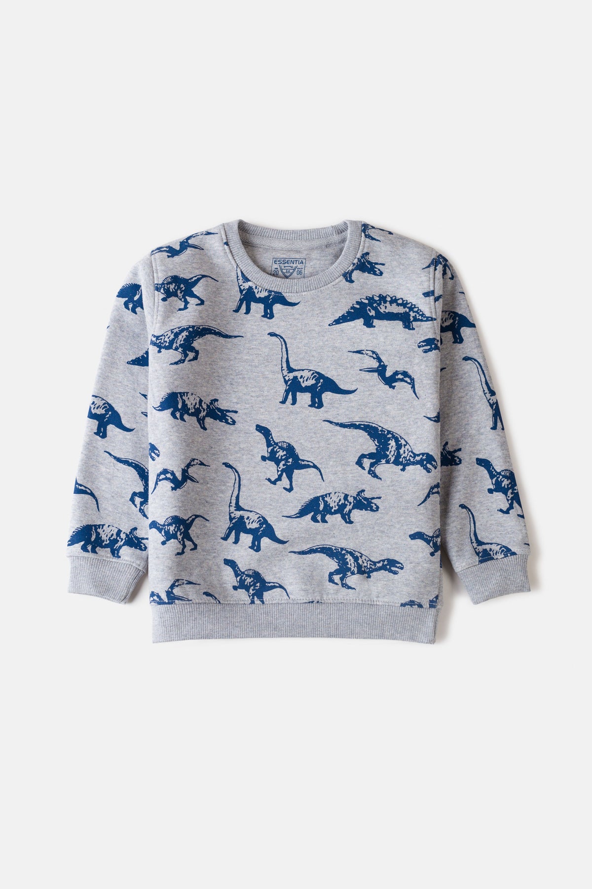 Boy&#39;s Sweatshirt F/Slv.