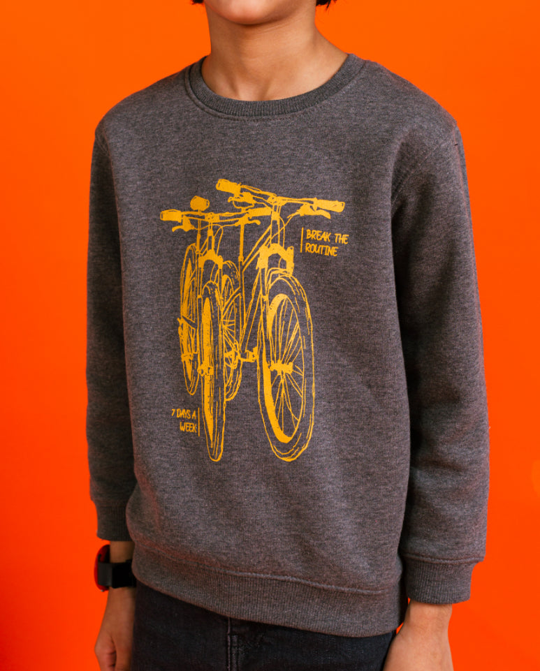 Boy&#39;s Sweatshirt F/Slv.