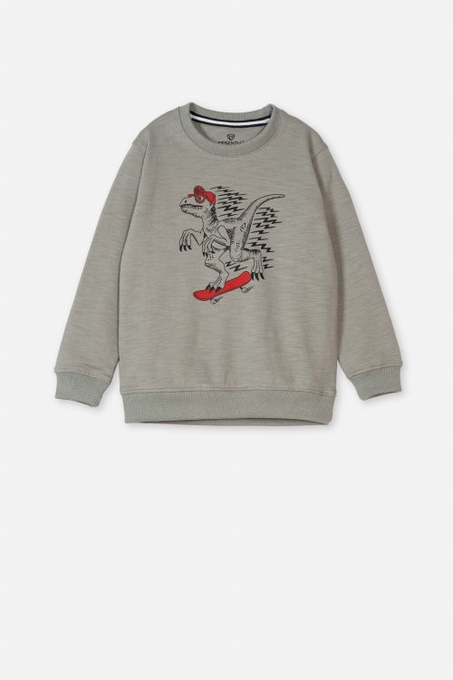 Boy&#39;s Sweatshirt F/Slv.